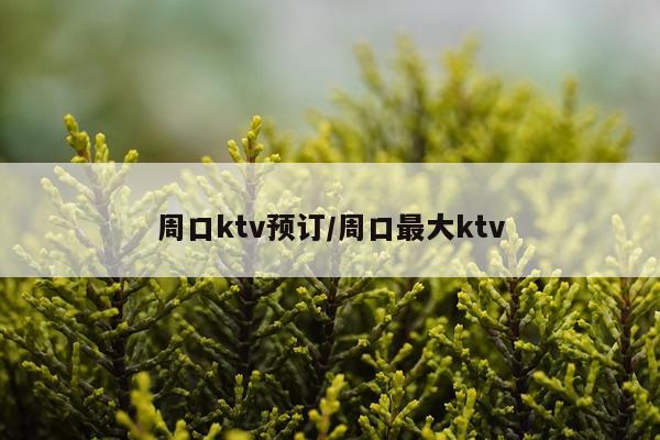 周口ktv预订/周口最大ktv