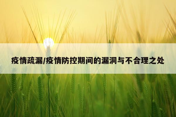 疫情疏漏/疫情防控期间的漏洞与不合理之处
