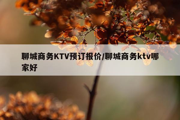 聊城商务KTV预订报价/聊城商务ktv哪家好