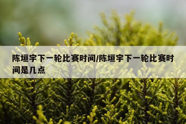 陈垣宇下一轮比赛时间/陈垣宇下一轮比赛时间是几点