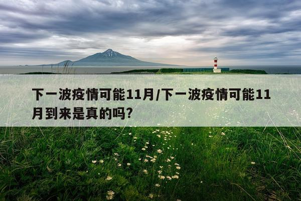 下一波疫情可能11月/下一波疫情可能11月到来是真的吗?