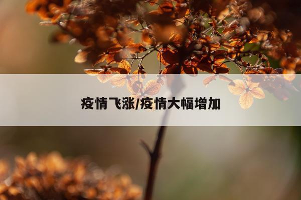 疫情飞涨/疫情大幅增加