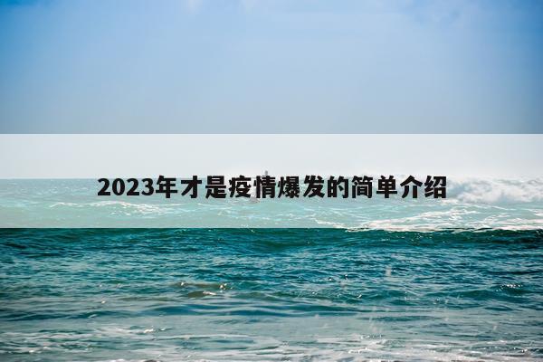 2023年才是疫情爆发的简单介绍