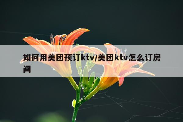 如何用美团预订ktv/美团ktv怎么订房间