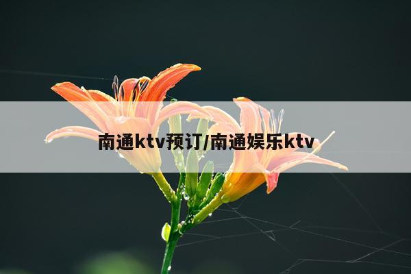 南通ktv预订/南通娱乐ktv