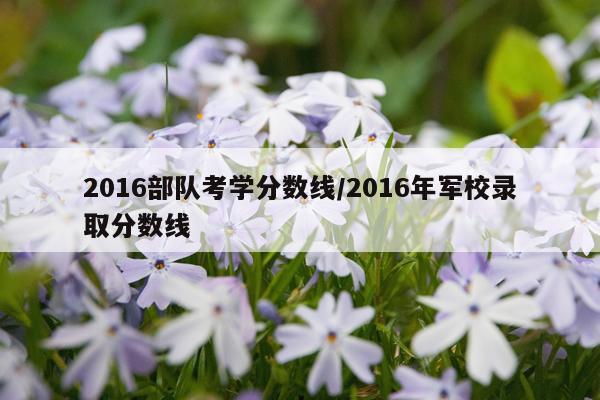 2016部队考学分数线/2016年军校录取分数线