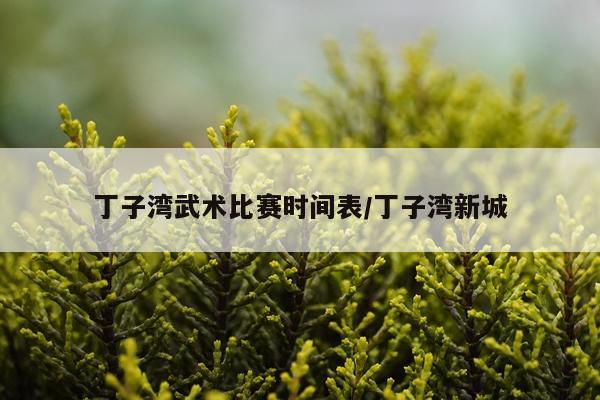 丁子湾武术比赛时间表/丁子湾新城