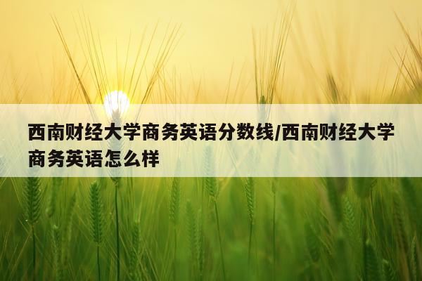 西南财经大学商务英语分数线/西南财经大学商务英语怎么样