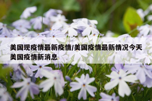 美国现疫情最新疫情/美国疫情最新情况今天美国疫情新消息