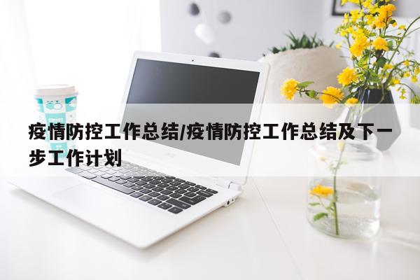 疫情防控工作总结/疫情防控工作总结及下一步工作计划