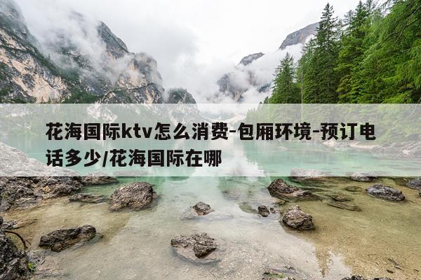 花海国际ktv怎么消费-包厢环境-预订电话多少/花海国际在哪