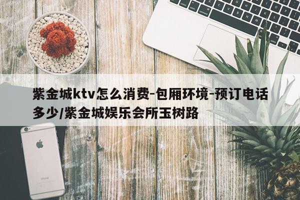 紫金城ktv怎么消费-包厢环境-预订电话多少/紫金城娱乐会所玉树路