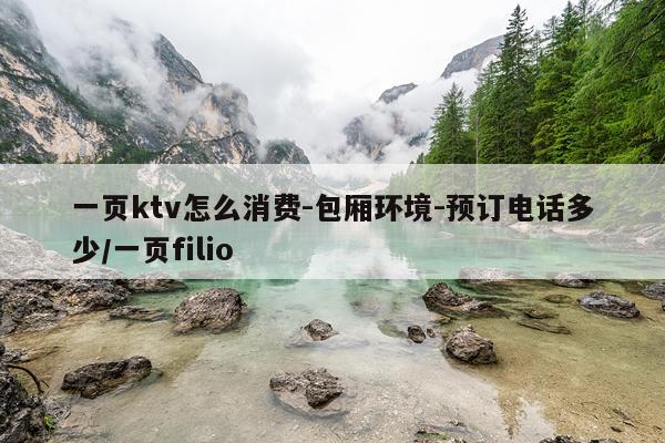 一页ktv怎么消费-包厢环境-预订电话多少/一页filio