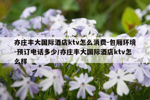 亦庄丰大国际酒店ktv怎么消费-包厢环境-预订电话多少/亦庄丰大国际酒店ktv怎么样