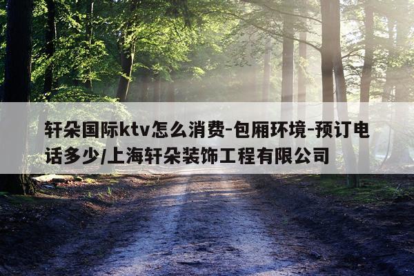 轩朵国际ktv怎么消费-包厢环境-预订电话多少/上海轩朵装饰工程有限公司