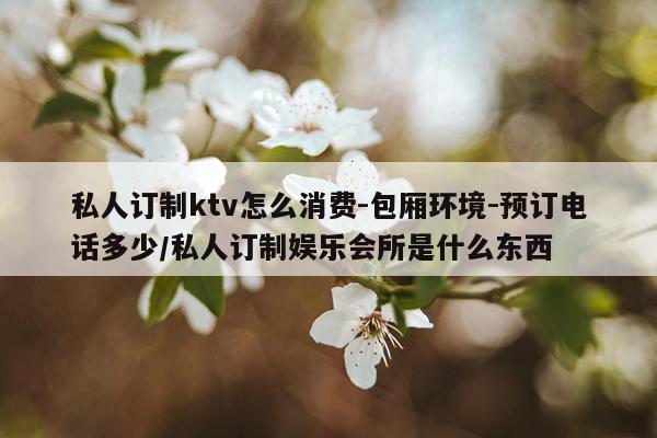私人订制ktv怎么消费-包厢环境-预订电话多少/私人订制娱乐会所是什么东西