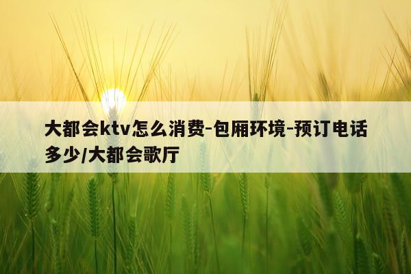 大都会ktv怎么消费-包厢环境-预订电话多少/大都会歌厅