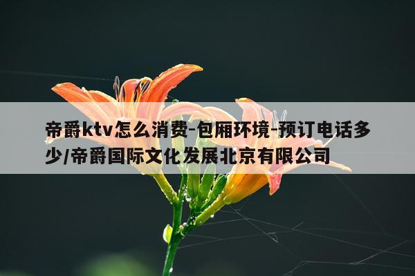 帝爵ktv怎么消费-包厢环境-预订电话多少/帝爵国际文化发展北京有限公司