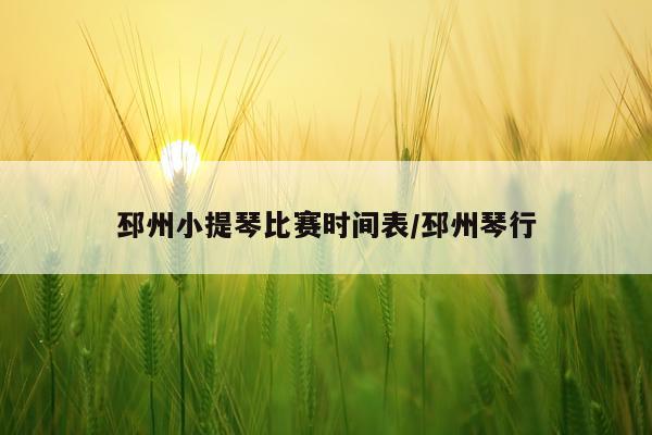 邳州小提琴比赛时间表/邳州琴行