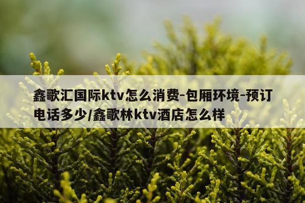 鑫歌汇国际ktv怎么消费-包厢环境-预订电话多少/鑫歌林ktv酒店怎么样