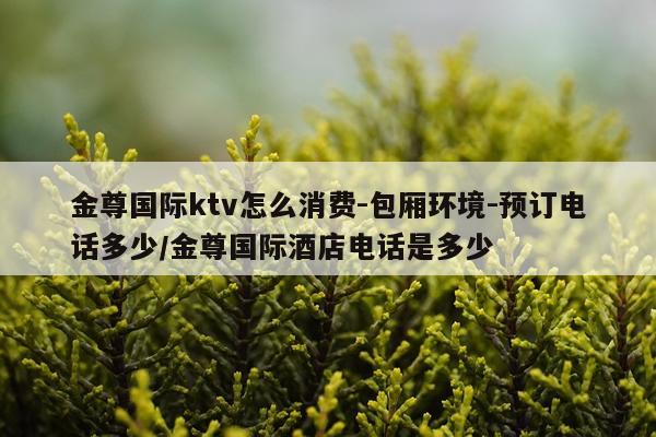 金尊国际ktv怎么消费-包厢环境-预订电话多少/金尊国际酒店电话是多少
