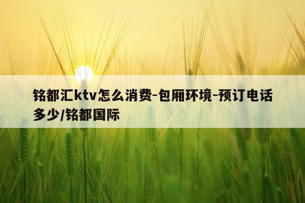 铭都汇ktv怎么消费-包厢环境-预订电话多少/铭都国际