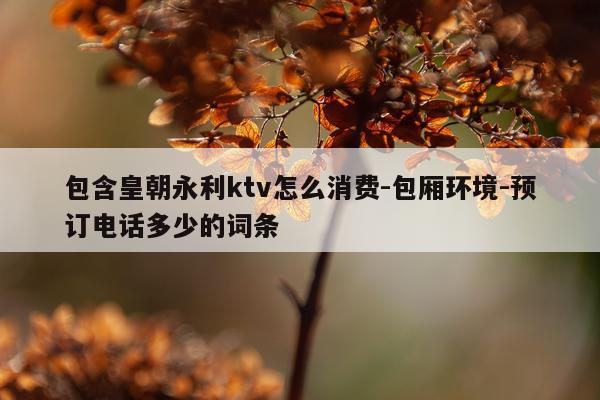 包含皇朝永利ktv怎么消费-包厢环境-预订电话多少的词条