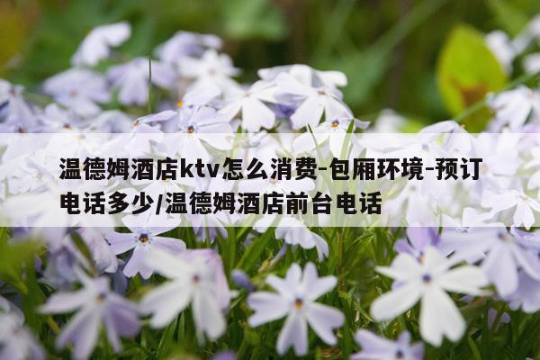 温德姆酒店ktv怎么消费-包厢环境-预订电话多少/温德姆酒店前台电话