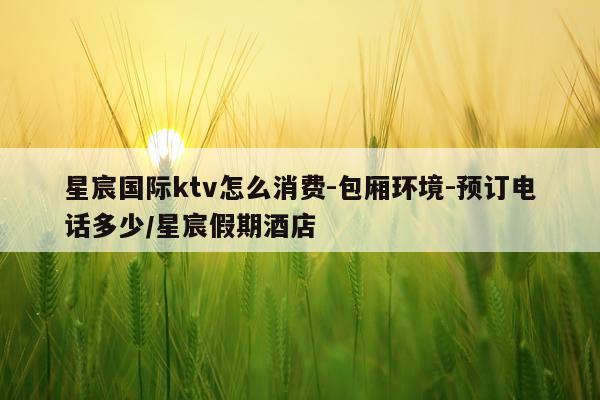 星宸国际ktv怎么消费-包厢环境-预订电话多少/星宸假期酒店
