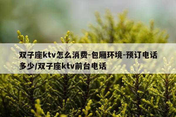 双子座ktv怎么消费-包厢环境-预订电话多少/双子座ktv前台电话