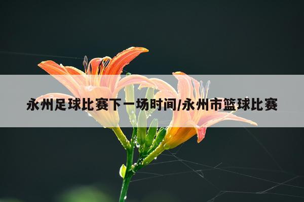 永州足球比赛下一场时间/永州市篮球比赛