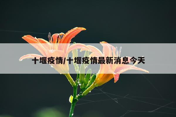 十堰疫情/十堰疫情最新消息今天