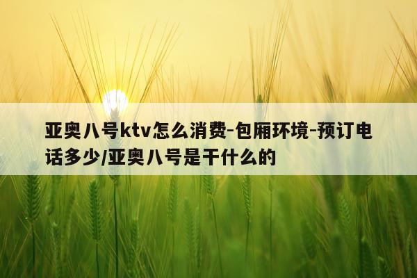 亚奥八号ktv怎么消费-包厢环境-预订电话多少/亚奥八号是干什么的