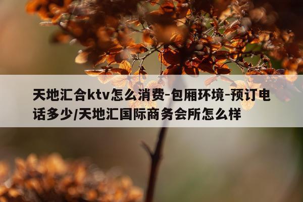天地汇合ktv怎么消费-包厢环境-预订电话多少/天地汇国际商务会所怎么样