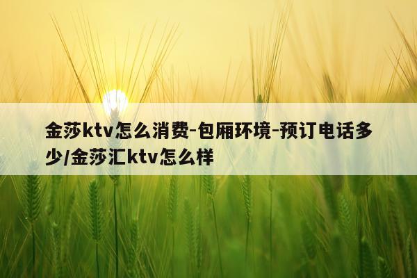金莎ktv怎么消费-包厢环境-预订电话多少/金莎汇ktv怎么样