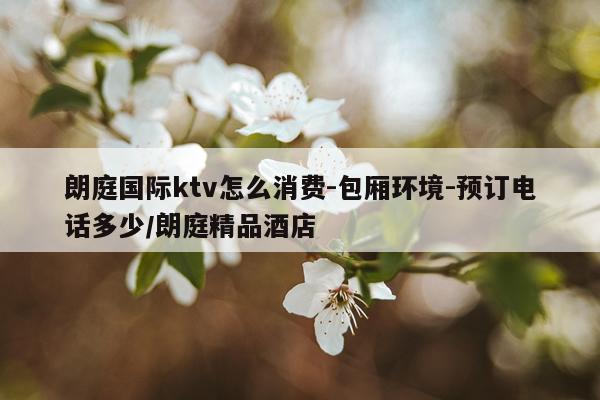 朗庭国际ktv怎么消费-包厢环境-预订电话多少/朗庭精品酒店