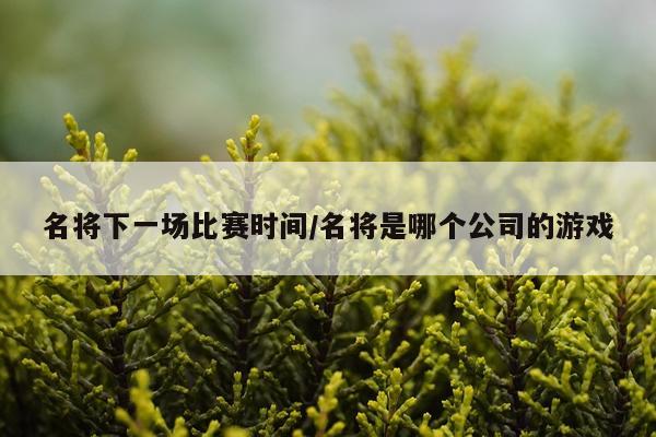 名将下一场比赛时间/名将是哪个公司的游戏