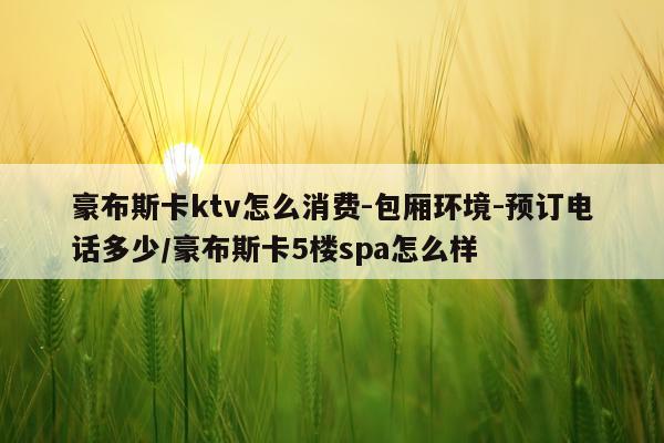 豪布斯卡ktv怎么消费-包厢环境-预订电话多少/豪布斯卡5楼spa怎么样
