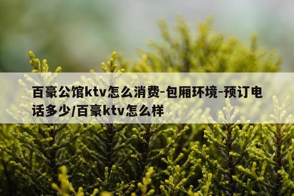 百豪公馆ktv怎么消费-包厢环境-预订电话多少/百豪ktv怎么样