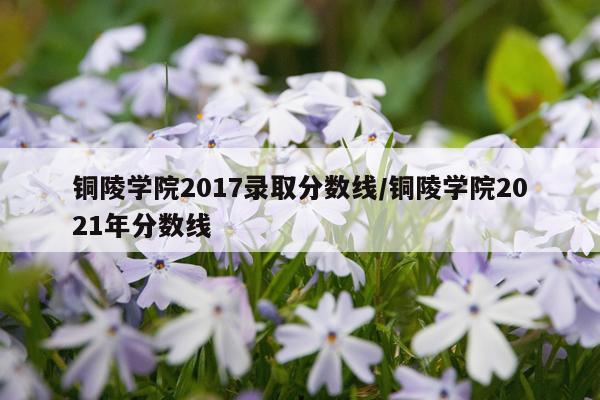 铜陵学院2017录取分数线/铜陵学院2021年分数线