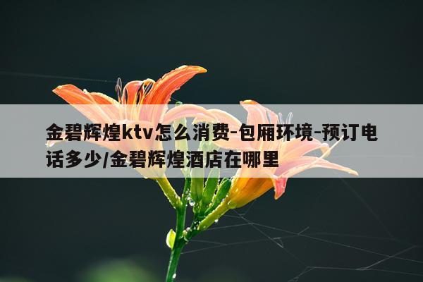 金碧辉煌ktv怎么消费-包厢环境-预订电话多少/金碧辉煌酒店在哪里