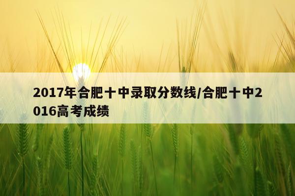 2017年合肥十中录取分数线/合肥十中2016高考成绩