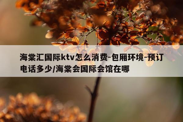 海棠汇国际ktv怎么消费-包厢环境-预订电话多少/海棠会国际会馆在哪