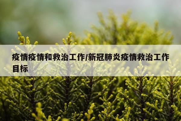 疫情疫情和救治工作/新冠肺炎疫情救治工作目标