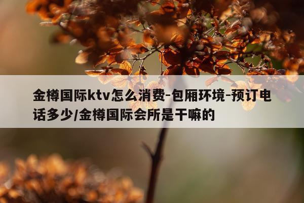 金樽国际ktv怎么消费-包厢环境-预订电话多少/金樽国际会所是干嘛的