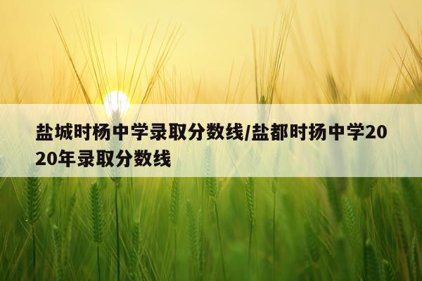 盐城时杨中学录取分数线/盐都时扬中学2020年录取分数线
