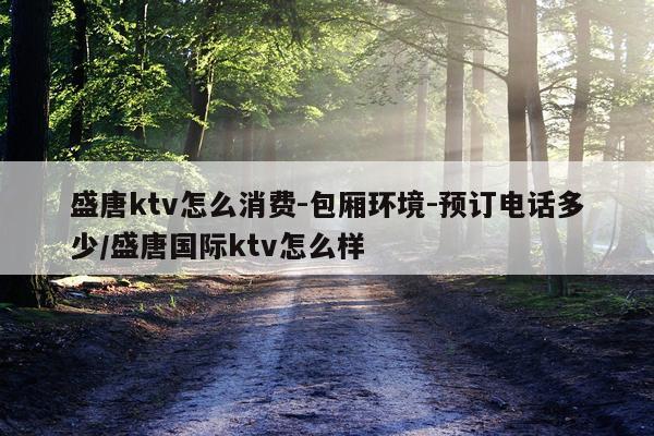 盛唐ktv怎么消费-包厢环境-预订电话多少/盛唐国际ktv怎么样