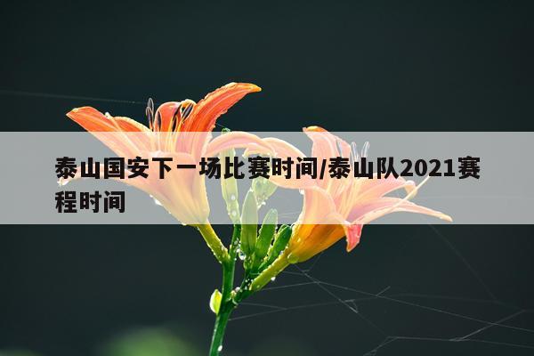 泰山国安下一场比赛时间/泰山队2021赛程时间
