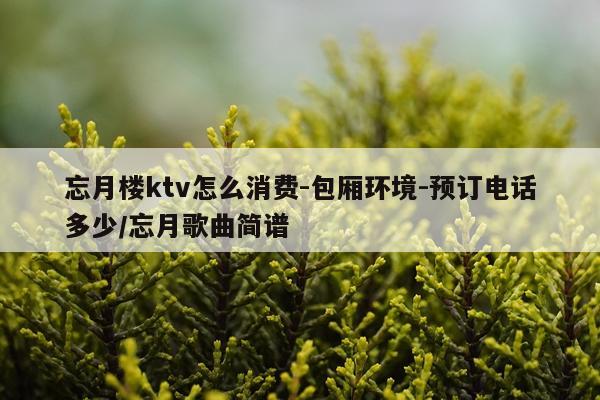 忘月楼ktv怎么消费-包厢环境-预订电话多少/忘月歌曲简谱