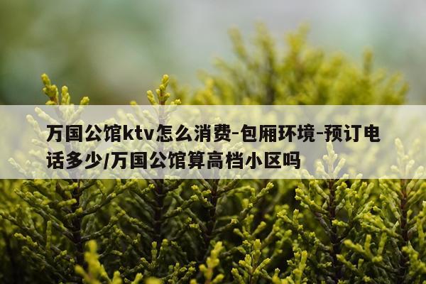 万国公馆ktv怎么消费-包厢环境-预订电话多少/万国公馆算高档小区吗